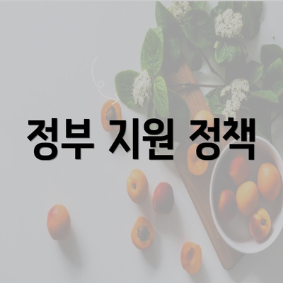 정부 지원 정책