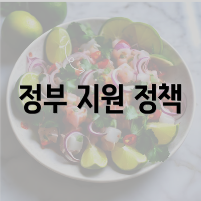 정부 지원 정책