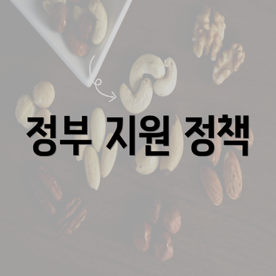 정부 지원 정책