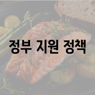 정부 지원 정책