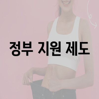 정부 지원 제도