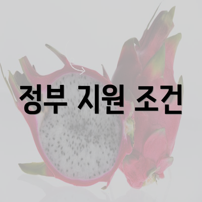 정부 지원 조건