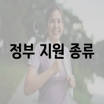 정부 지원 종류