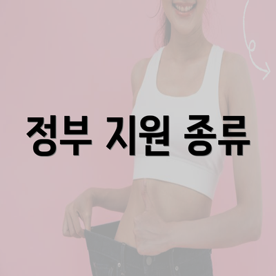 정부 지원 종류