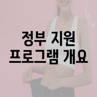 정부 지원 프로그램 개요