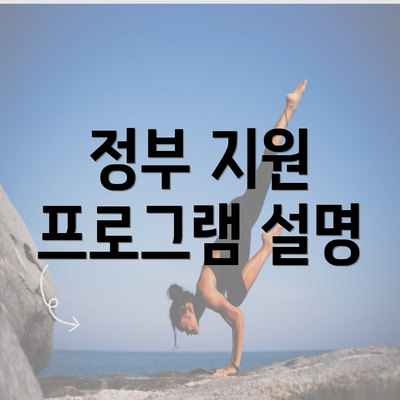 정부 지원 프로그램 설명