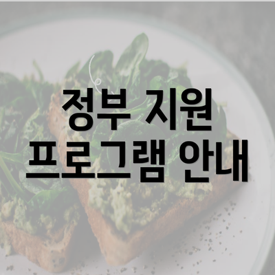 정부 지원 프로그램 안내