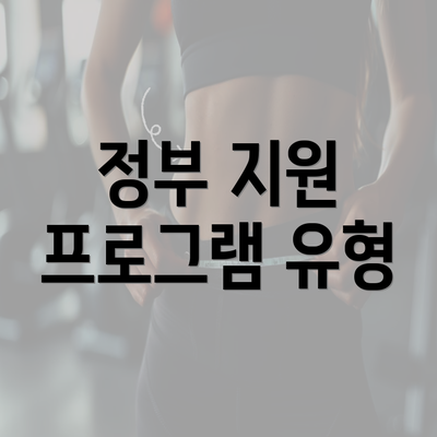 정부 지원 프로그램 유형