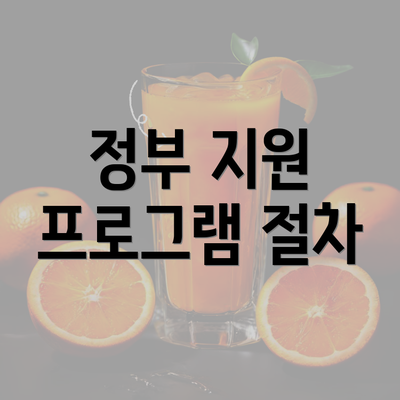 정부 지원 프로그램 절차