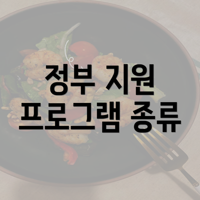 정부 지원 프로그램 종류