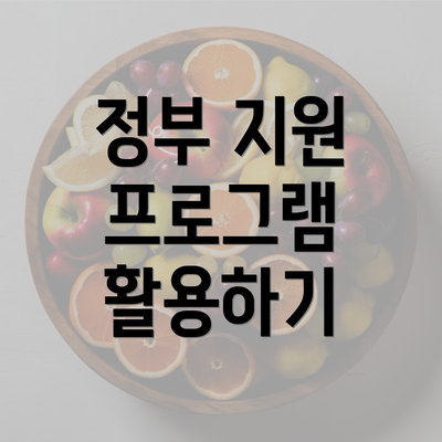 정부 지원 프로그램 활용하기