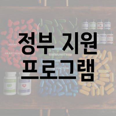 정부 지원 프로그램