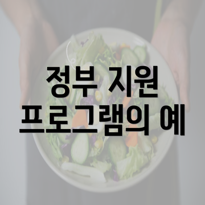 정부 지원 프로그램의 예