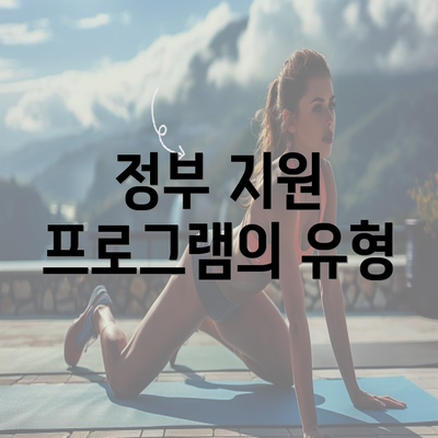 정부 지원 프로그램의 유형