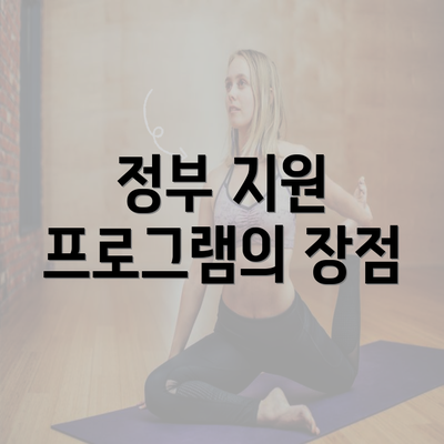 정부 지원 프로그램의 장점