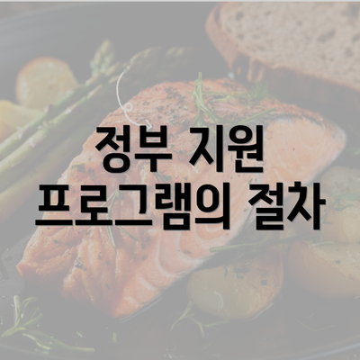 정부 지원 프로그램의 절차