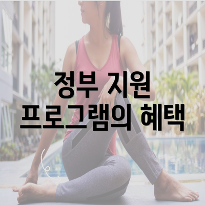 정부 지원 프로그램의 혜택