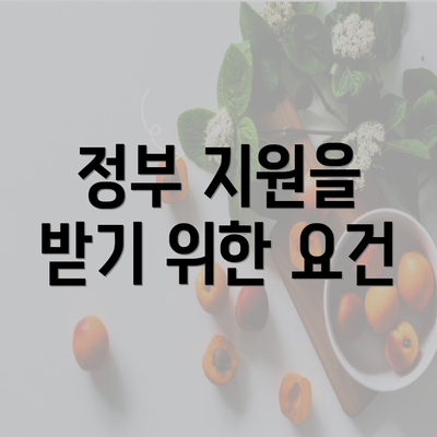 정부 지원을 받기 위한 요건