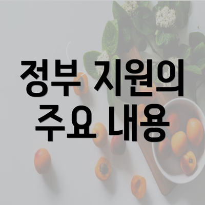 정부 지원의 주요 내용