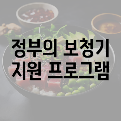 정부의 보청기 지원 프로그램