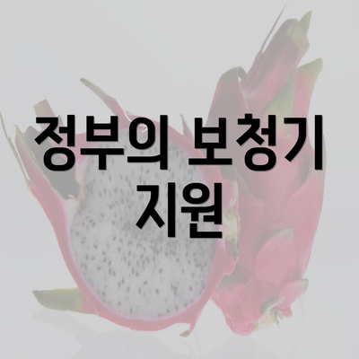 정부의 보청기 지원