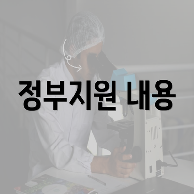 정부지원 내용