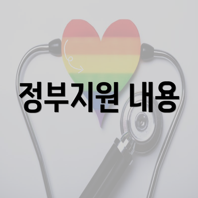 정부지원 내용