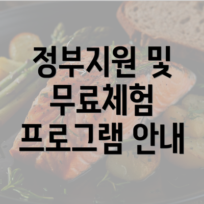 정부지원 및 무료체험 프로그램 안내