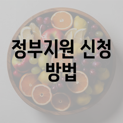 정부지원 신청 방법