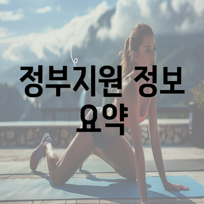 정부지원 정보 요약