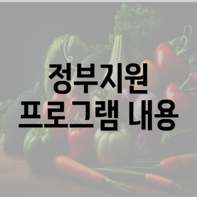 정부지원 프로그램 내용