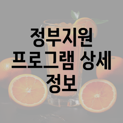 정부지원 프로그램 상세 정보