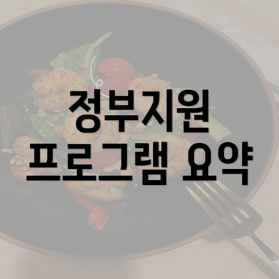 정부지원 프로그램 요약