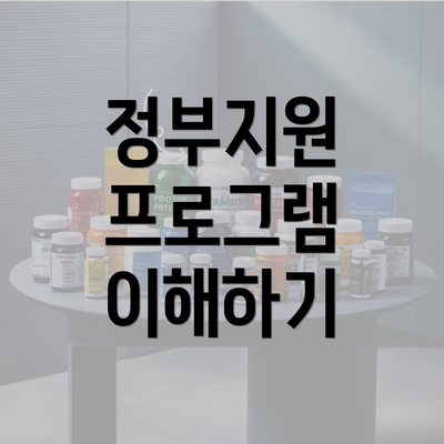 정부지원 프로그램 이해하기