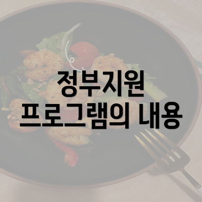 정부지원 프로그램의 내용