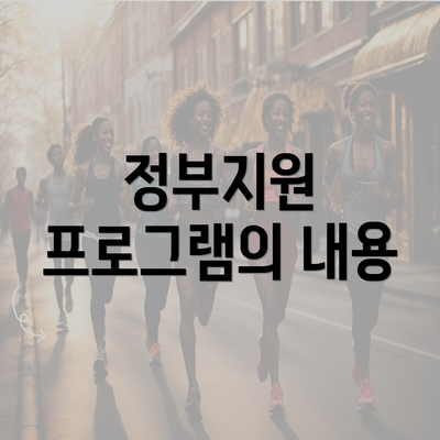 정부지원 프로그램의 내용