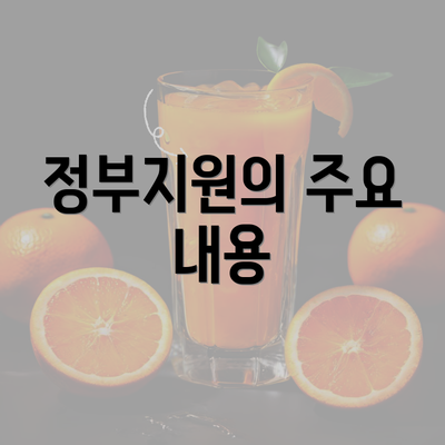 정부지원의 주요 내용