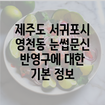 제주도 서귀포시 영천동 눈썹문신 반영구에 대한 기본 정보