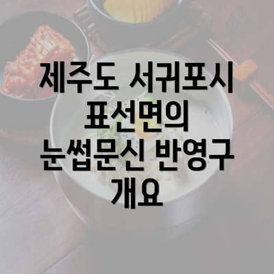 제주도 서귀포시 표선면의 눈썹문신 반영구 개요