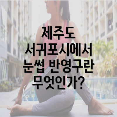 제주도 서귀포시에서 눈썹 반영구란 무엇인가?