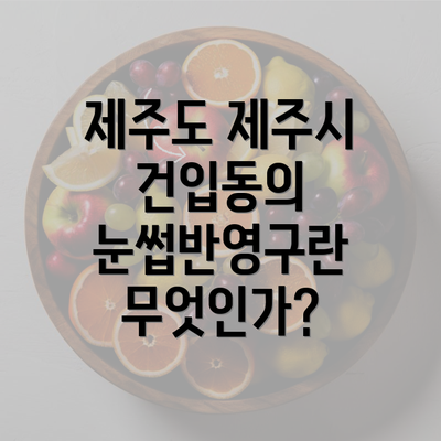 제주도 제주시 건입동의 눈썹반영구란 무엇인가?