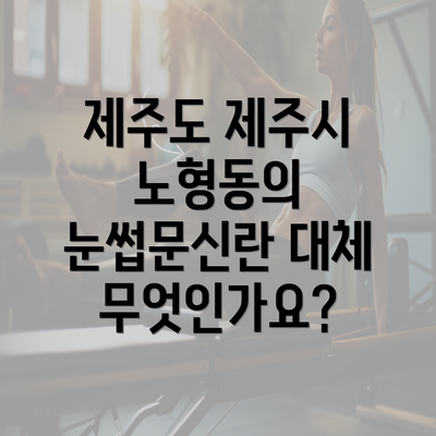 제주도 제주시 노형동의 눈썹문신란 대체 무엇인가요?