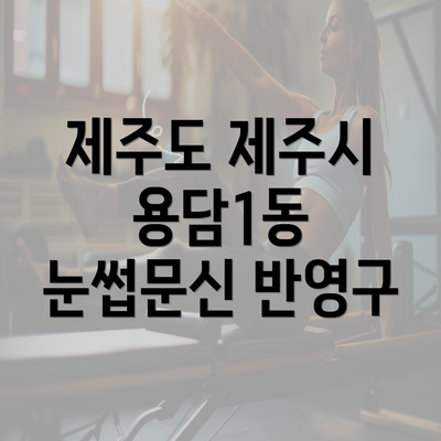 제주도 제주시 용담1동 눈썹문신 반영구