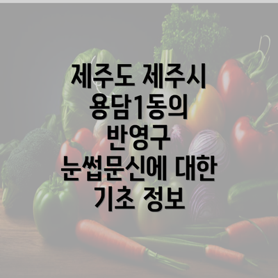 제주도 제주시 용담1동의 반영구 눈썹문신에 대한 기초 정보