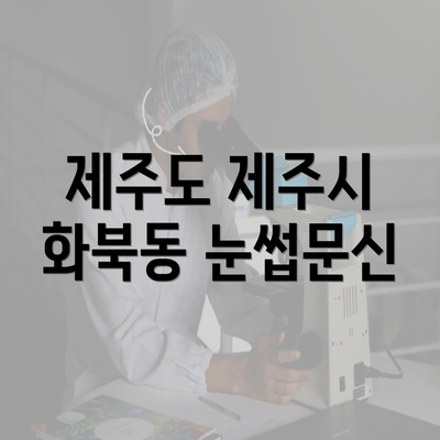 제주도 제주시 화북동 눈썹문신