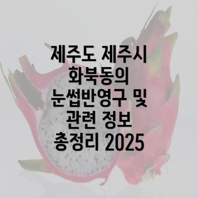 제주도 제주시 화북동의 눈썹반영구 및 관련 정보 총정리 2025