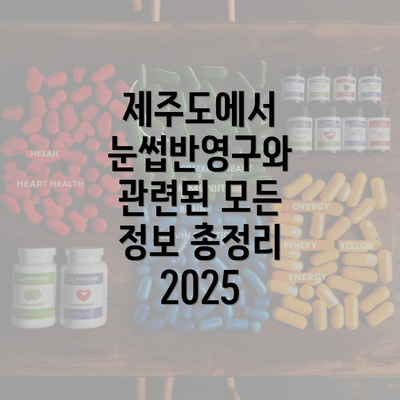 제주도에서 눈썹반영구와 관련된 모든 정보 총정리 2025