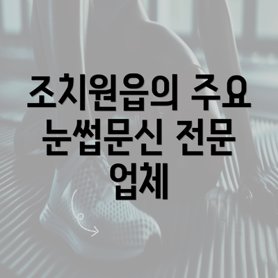 조치원읍의 주요 눈썹문신 전문 업체