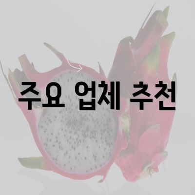 주요 업체 추천