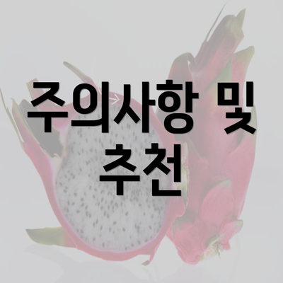 주의사항 및 추천